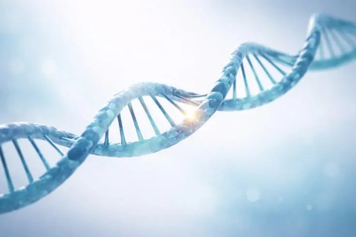 BPC-157 TB-500: The Science of Peptide Stacking