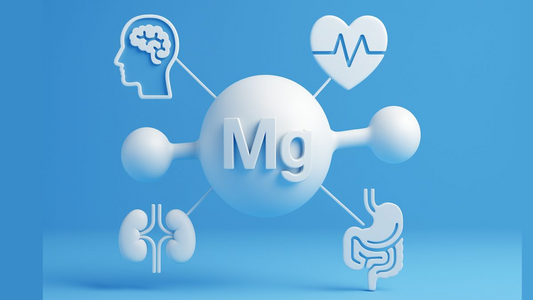 Magnesium Glycinate vs. Citrate: Which Should You Take?