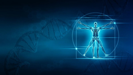 Personalized Wellness Plans for Long-Term Health