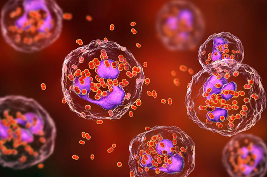STD Symptoms: How Long to Manifest and When to Test
