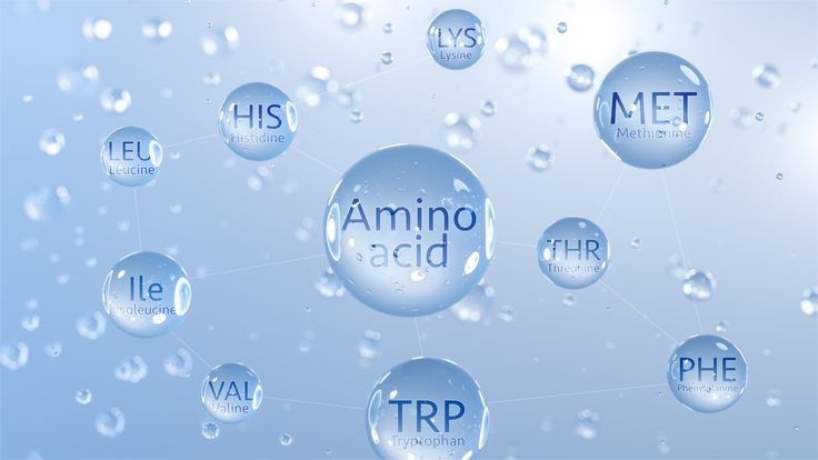 Advanced Amino Acid Therapy for Aging and Recovery