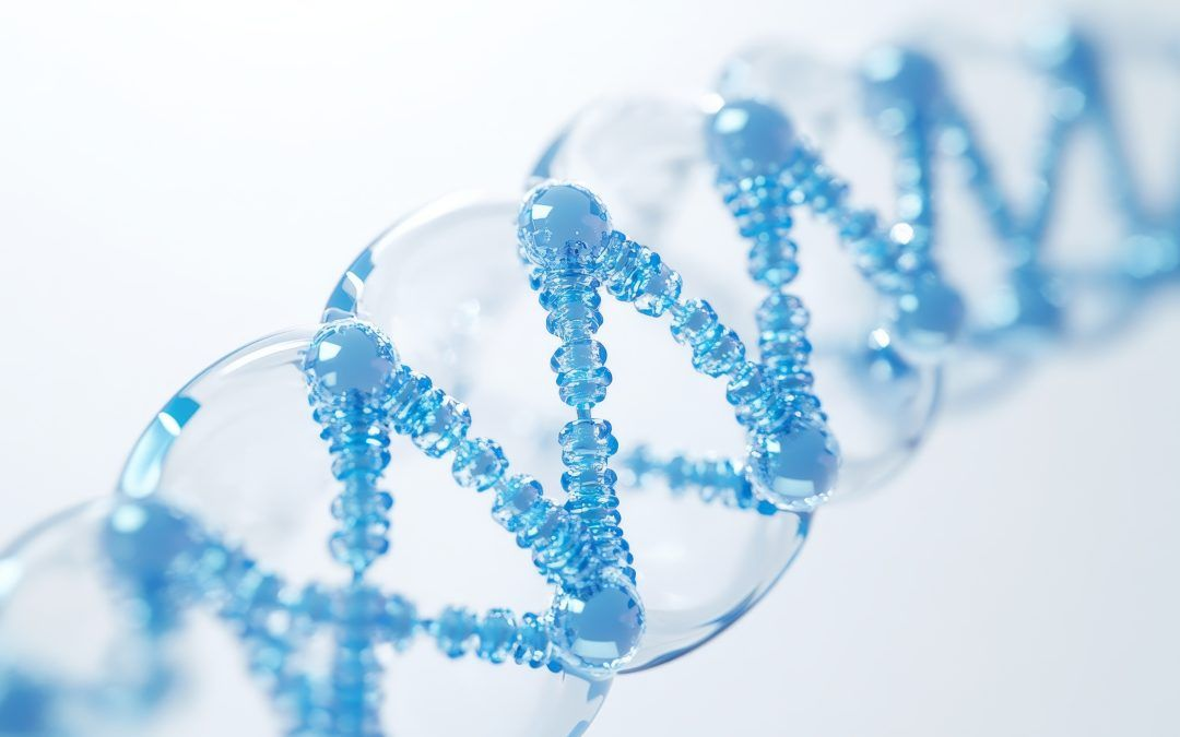 BPC‑157 ARG + KPV Blend Benefits Guide