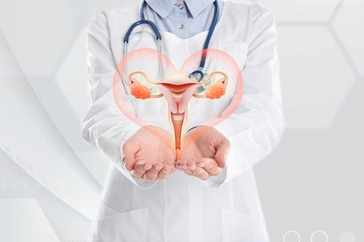 Board Certified Gynecologist for Women's Health: Expert Care With No Downtime