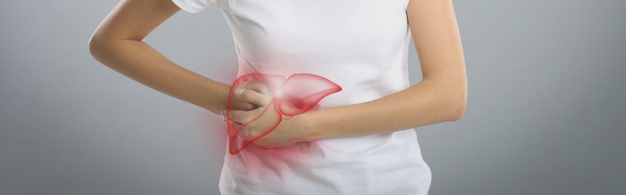 Liver & Gut Health