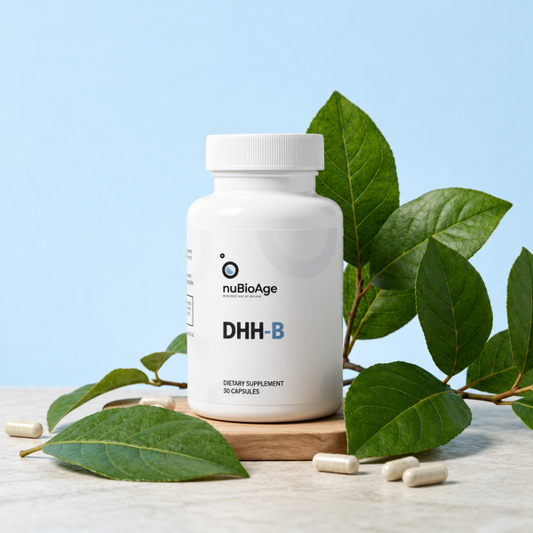 DHH-B